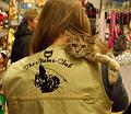 081130_kattens_dag_11