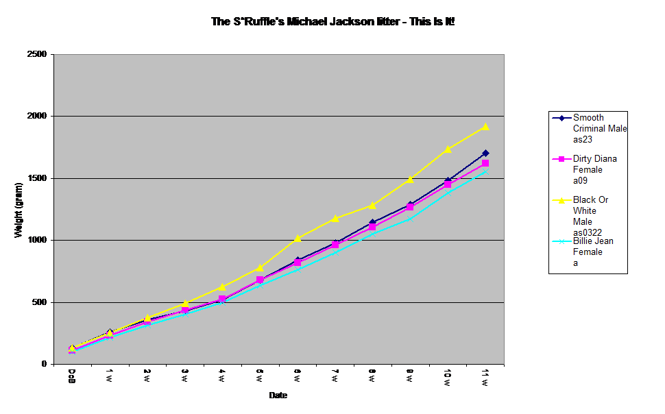 The S*Ruffle's Michael Jackson litter - This Is It!