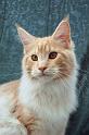 080820_elvis_6m_31