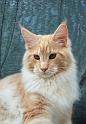 080820_elvis_6m_35