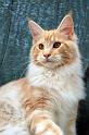 080820_elvis_6m_36
