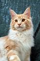 080820_elvis_6m_37
