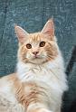 080820_elvis_6m_40
