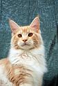 080820_elvis_6m_42