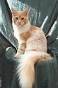 080820_elvis_6m_55