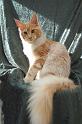 080820_elvis_6m_60