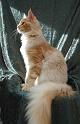 080820_elvis_6m_61