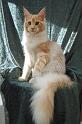 080820_elvis_6m_65