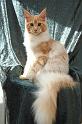 080820_elvis_6m_66
