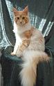 080820_elvis_6m_67