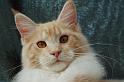 080820_elvis_6m_72