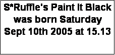 Textruta: S*Ruffle's Paint It Black was born Saturday Sept 10th 2005 at 15.13
